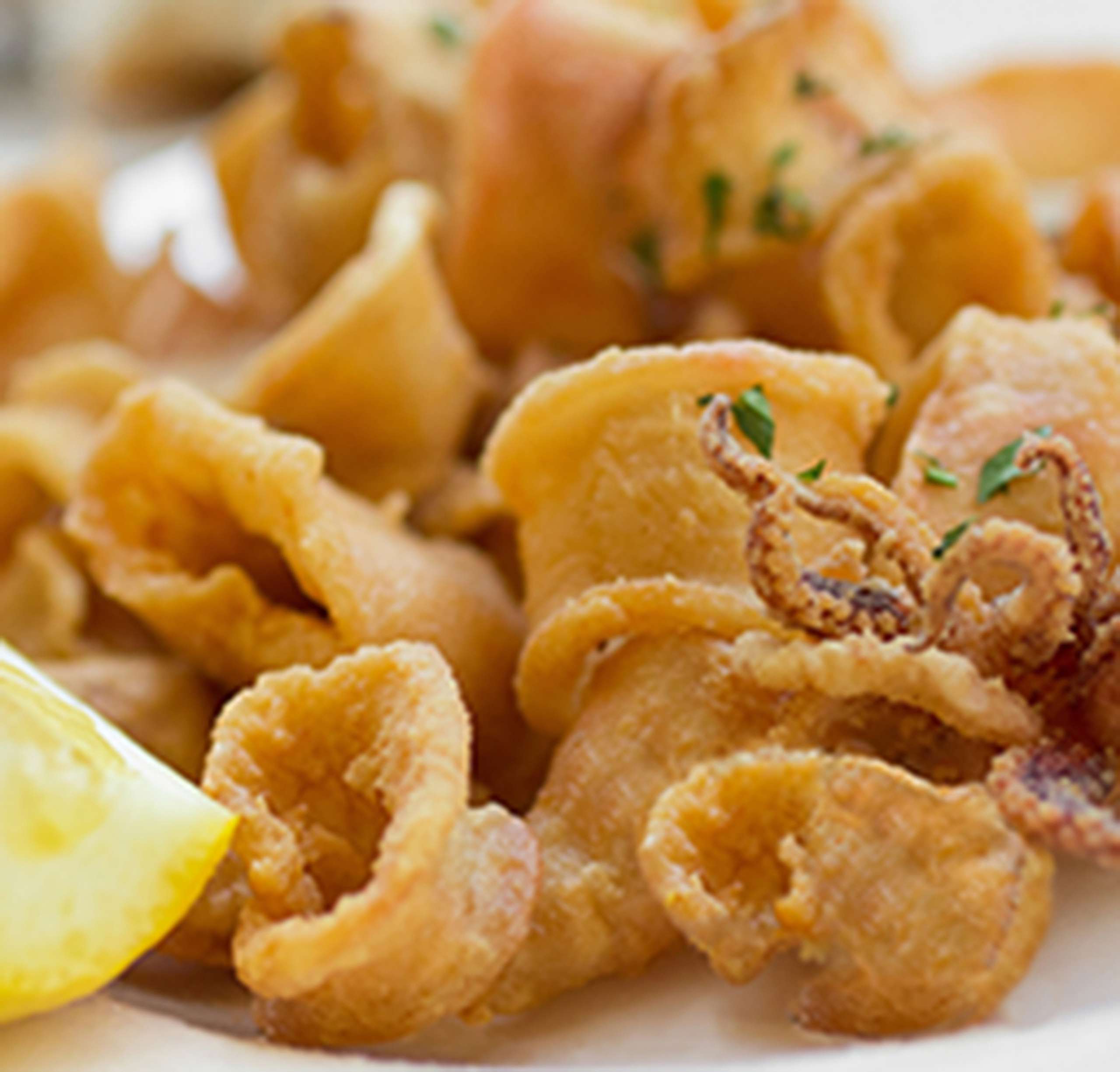 Fried Calamari